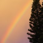 VILLIERSDORP IS RAINBOW CENTRAL